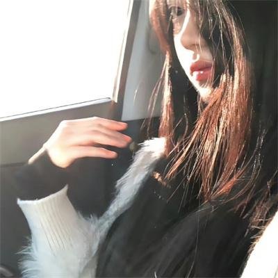 新东京猫猫